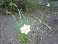 DSC00025