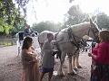 DSCN0342